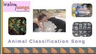 Animal Classification Song  BRAMF