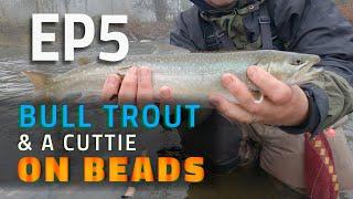 FISHING VLOG EP 5 - BULL TROUT & A CUTTIE ON BEADS