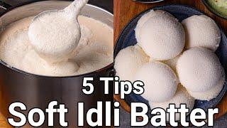 How to Make Soft Idli with 5 Basic Tips  Spongy Idli Batter with Wet Grinder - No Soda No Yeast