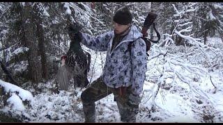 Latvalintujahtia 2019 Capercaillie Hunting 2020 Jakso 3