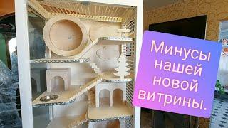 Новая витрина для шиншилл с колесом. Дом для шиншиллы. Обзор витрины.