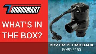 Whats in the Box? TS-0225-1202 BOV EM Ford F150 Plumb back