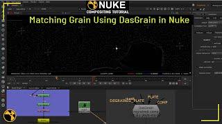 Matching Grain Using DasGrain in Nuke  How To Use DasGrain in Nuke  DasGrain Tutorial