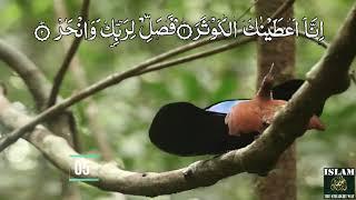 Surah al Kausar  Surah Kausar 7 Time Recitation  Remove stress  Beautiful voice  Islam