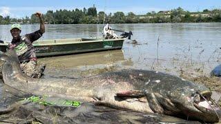 A New WORLD RECORD for The Largest WELS CATFISH Ever Caught Set by Italian Angler May 31st 2023