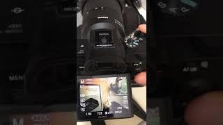 back button focusing or half pressed to focus? Why not BOTH? Sony a7iii