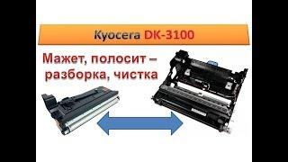 #63 Чистка Kyocera DK-3100  DV-3100   РАЗБОРКА - ВОССТАНОВЛЕНИЕ  Как разобрать