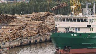 Сибирский лес для экспорта. SIBERIA TIMBER FOR EXPORT.