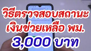 วิธีตรวจสอบสถานะ เงินเยียวยา พม 3000 บาท ด้วยมือถือ อัพเดท 12864