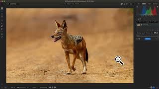 Enhance Any Photo Editing Workflow with Photo RAW MAX