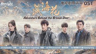 Adventure Behind the Bronze Door《藏海花》 OST  【ChinesePinyinEnglish Lyrics】影视原声带