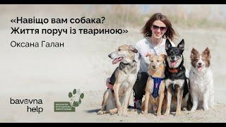 Навіщо вам собака? Життя поруч із твариною  Оксана Галан для проєкту Бавовна.Хелп