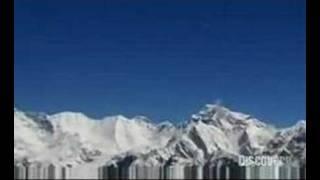 Bears Mission Everest clip