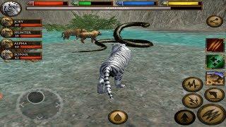 Furious Tiger VS Angry Giant Anaconda Ultimate Jungle Simulator