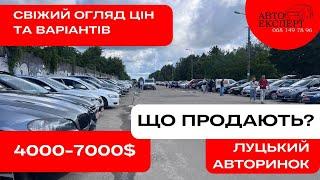  «БЮДЖЕТКИ» ЛУЦЬКОГО АВТОРИНКУ️4000-7000$️2 частина  АВТОПІДБІР ПЕРЕВІРКА АВТО ️068-149-78-96