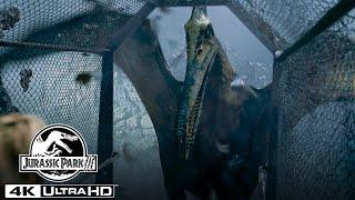 The Pteranodon Aviary Attack in 4K HDR  Jurassic Park III