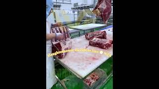 Amazing how does beef cutting machine for slaughterhouse equipment