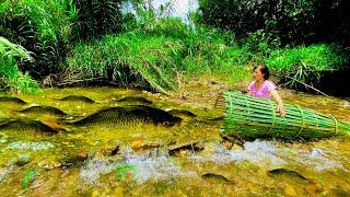 Girl guides planet fishing in streams with giant trap harvesting 15kg of fish per hour