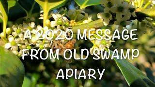 A 2020 Message from Old Swamp Apiary