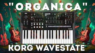 Korg Wavestate - Organica soundset 40 Performances