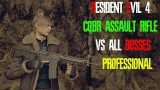 CQBR Assault Rifle MAXED OUT is INSANE ALL BOSSES ON PROFESSIONAL