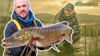 Big Pike Obsession  Deadbaiting  Keep moving to find the BIG one
