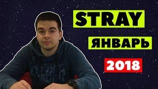 Stray - лучшие моменты  январь 2018