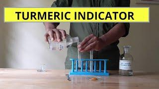 Turmeric powder indicator acid & base indicators