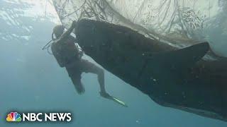 Watch Divers rescue five whale sharks trapped in fishing nets