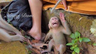 Baby Angels cry temper tantrum upset with mom ignores not giving her milk she wait KT for long time