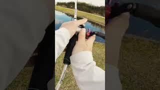 Bed Fishing For Bass