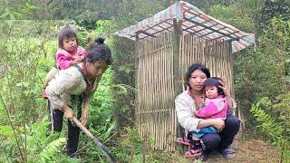 Poor single mother Building a bamboo toilet and complete the project. @Daothixuan86