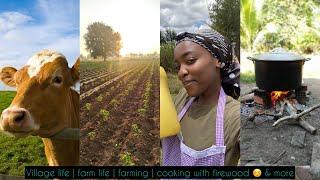 Village Life in Kenya Planting Cooking & Living the Slow Life #youtube