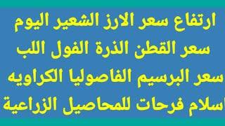 ارتفاع الأرز الشعير والابيض سعر الذرة القطن البرسيم واللب والفول والكراوية والفاصوليا والصويا