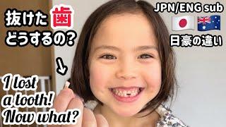 【日本の習慣】初めて歯が抜けたえっそれを?【文化の違い】What to do with a lost tooth in Japan【Cultural differences】