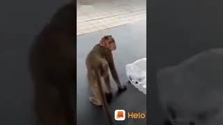 #World  best funny # video# ..