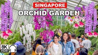8K - National Orchid Garden Singapore  Most Beautiful Garden of Singapore 