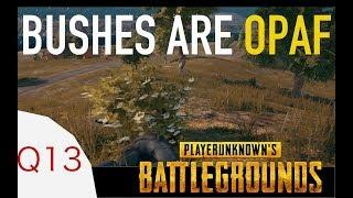 Bushes are so OP in Battlegrounds