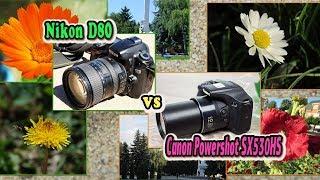 В чем разница - цифровой фотоаппарат или зеркальный. TEST Canon SX530HS vs Nikon D80