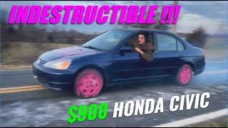 $900 HONDA CIVIC REFUSES TO DIE