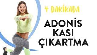 4 Dakikada Adonis Kası