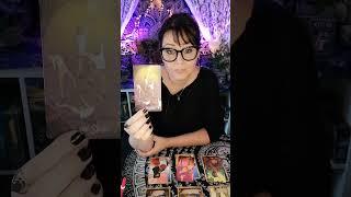  Algemeen Bericht    Samen De Sprong Maken • Tarot Reading 2024