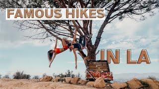 Top 3 Popular Hiking Trails in Los Angeles   Hollywood Sign Wisdom Tree & Runyon Canyon