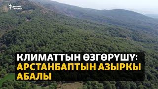 Климаттын өзгөрүшү Арстанбаптын азыркы абалы