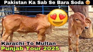 Punjab Tour 2025 Start   Biggest Deal Of 2025 In Cattle Industry ️Episode 01 Karachi To Multan