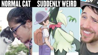CAT BEHAVIOR GETS WEIRD ON MEOWSCARADA - Pokemon Memes