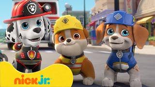 Rubble & Crew  PAW Patrol treffen die Crew  Nick Jr. Deutschland