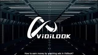 Vidilook  Usage teaching