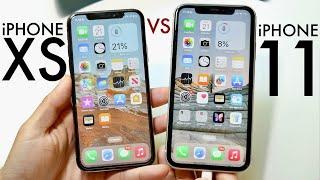 iPhone 11 Vs iPhone XS In 2024 Comparison Review