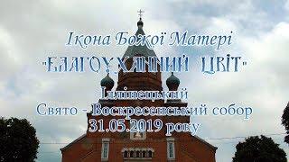 Ікона Божої Матері Благоуханний цвiт.  Іллінецький Свято - Воскресенський собор 31.05.2019 року